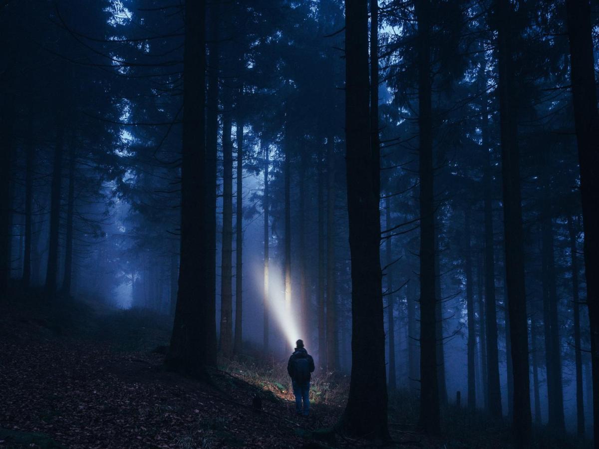Black Forest Luxury Apartment Waldglueck Mit Sauna ケーニヒスフェルト・イム・シュヴァルツヴァルト エクステリア 写真