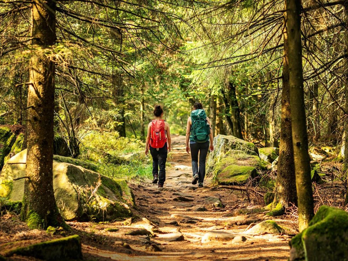 Black Forest Luxury Apartment Waldglueck Mit Sauna ケーニヒスフェルト・イム・シュヴァルツヴァルト エクステリア 写真