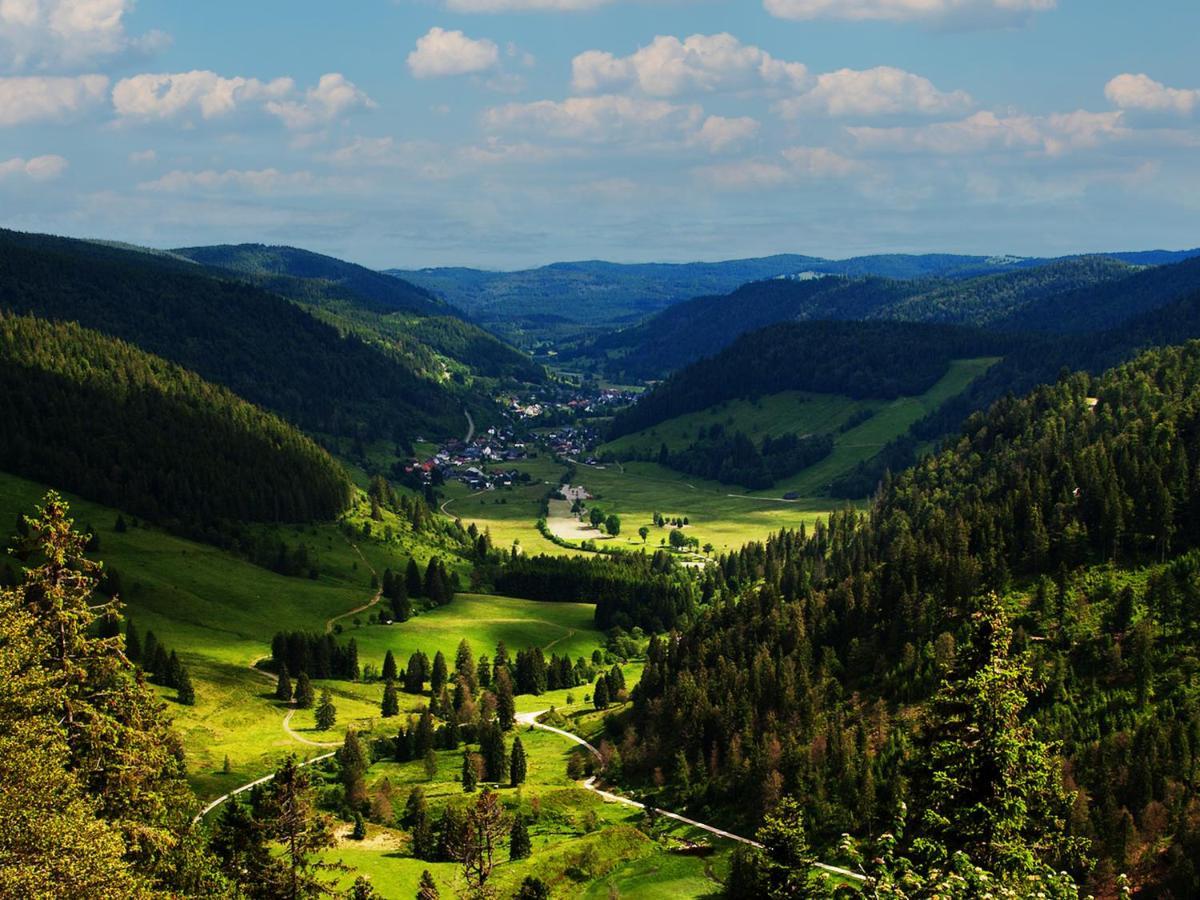 Black Forest Luxury Apartment Waldglueck Mit Sauna ケーニヒスフェルト・イム・シュヴァルツヴァルト エクステリア 写真