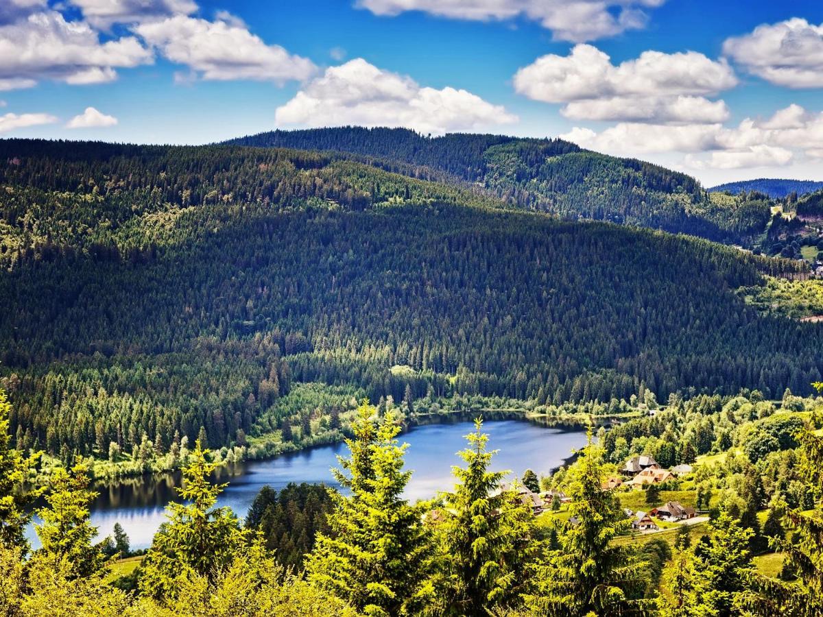 Black Forest Luxury Apartment Waldglueck Mit Sauna ケーニヒスフェルト・イム・シュヴァルツヴァルト エクステリア 写真