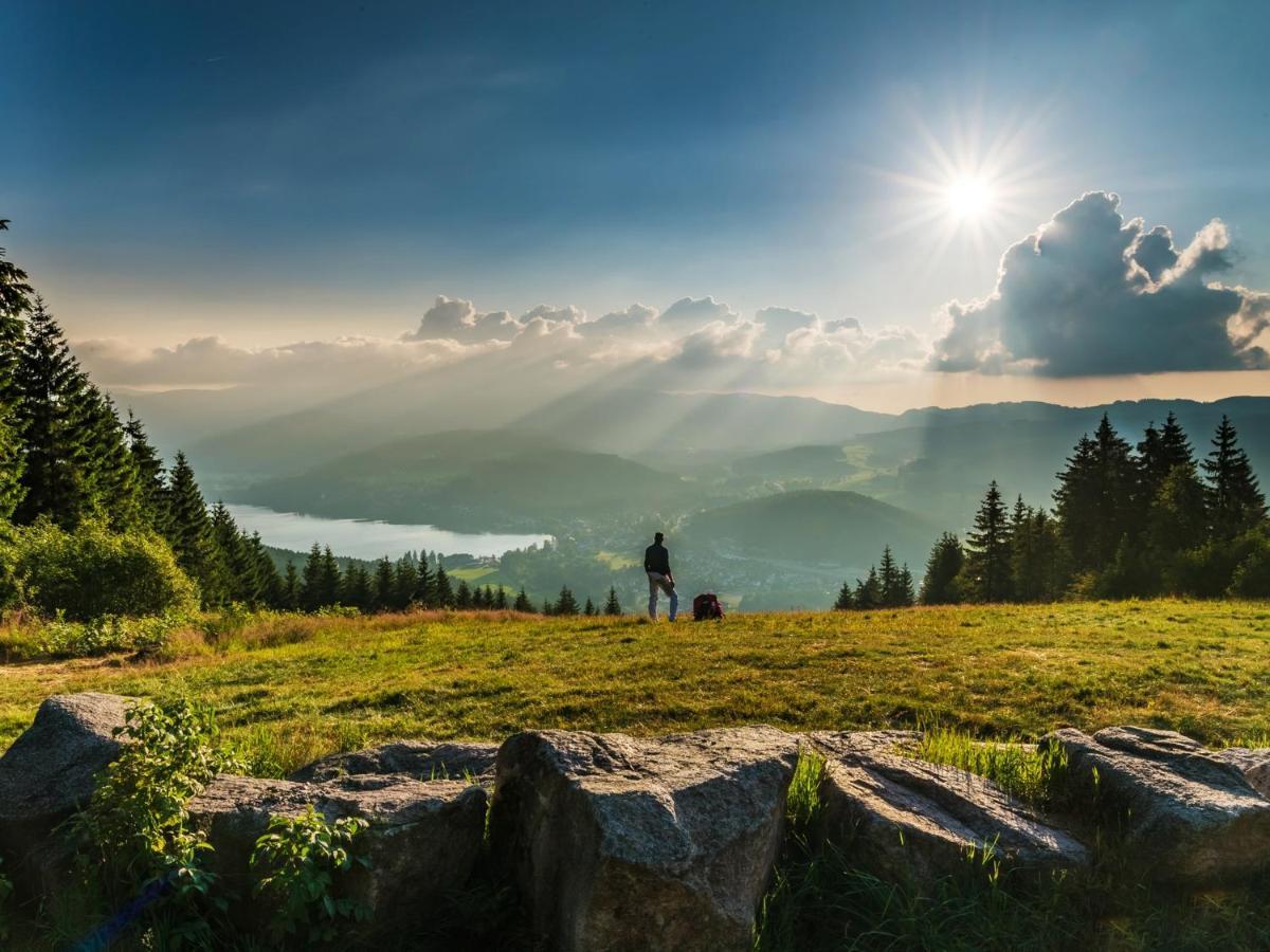 Black Forest Luxury Apartment Waldglueck Mit Sauna ケーニヒスフェルト・イム・シュヴァルツヴァルト エクステリア 写真
